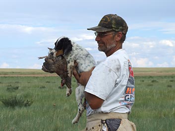 Gun Dog Training
